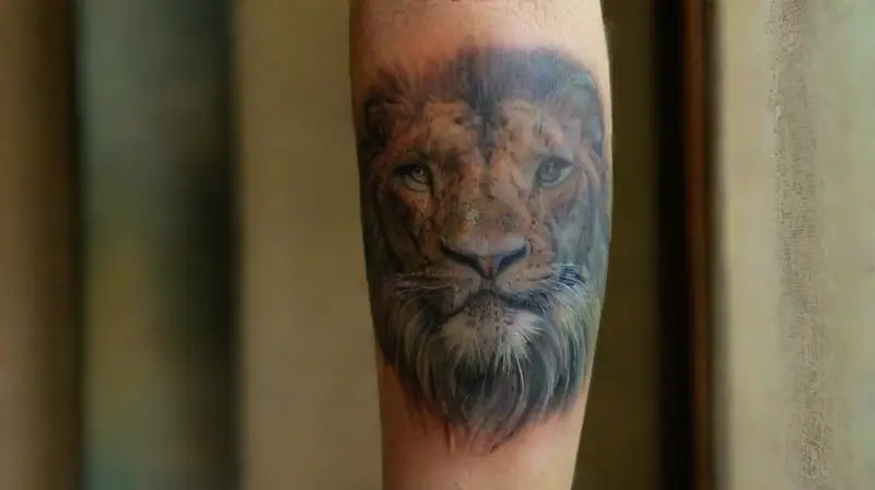Galería con fotos y tatuajes animales vibrantes